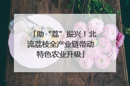 助“荔”振兴！北流荔枝全产业链带动特色农业升级