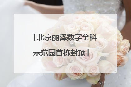 北京丽泽数字金科示范园首栋封顶