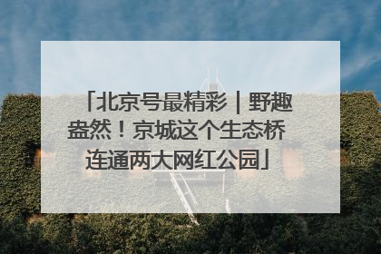 北京号最精彩｜野趣盎然！京城这个生态桥连通两大网红公园