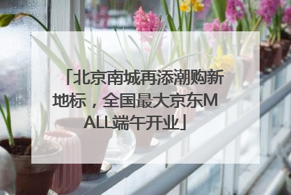 北京南城再添潮购新地标，全国最大京东MALL端午开业