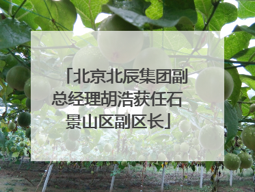北京北辰集团副总经理胡浩获任石景山区副区长