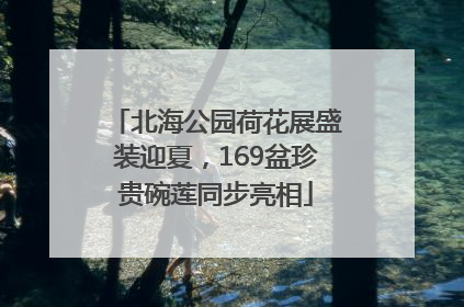 北海公园荷花展盛装迎夏，169盆珍贵碗莲同步亮相
