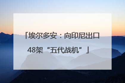 埃尔多安：向印尼出口48架“五代战机”