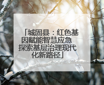 城固县：红色基因赋能智慧应急 探索基层治理现代化新路径