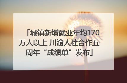 城镇新增就业年均170万人以上 川渝人社合作五周年“成绩单”发布