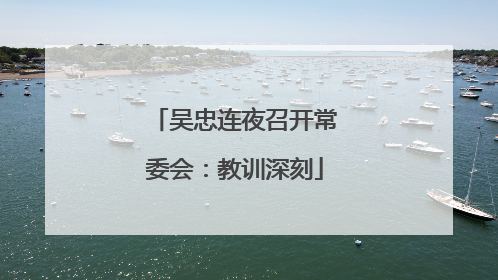 吴忠连夜召开常委会：教训深刻