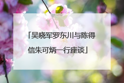 吴晓军罗东川与陈得信朱可炳一行座谈