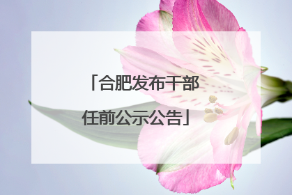 合肥发布干部任前公示公告
