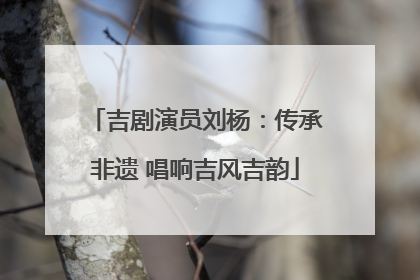 吉剧演员刘杨：传承非遗 唱响吉风吉韵