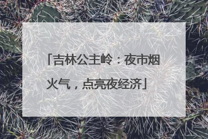 吉林公主岭：夜市烟火气，点亮夜经济