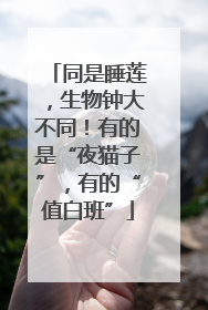 同是睡莲，生物钟大不同！有的是“夜猫子”，有的“值白班”