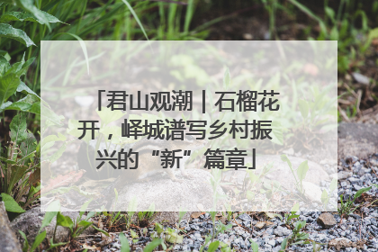 君山观潮｜石榴花开，峄城谱写乡村振兴的“新”篇章