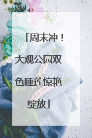 周末冲！大观公园双色睡莲惊艳绽放