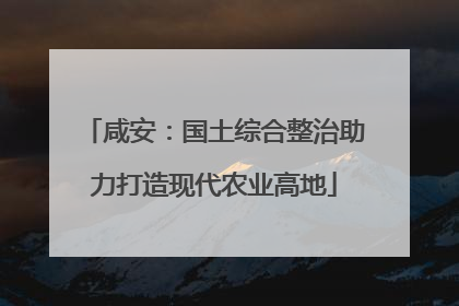 咸安：国土综合整治助力打造现代农业高地