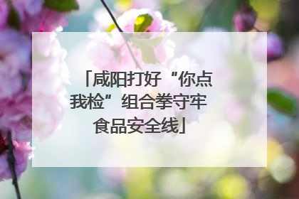 咸阳打好“你点我检”组合拳守牢食品安全线