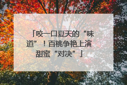 咬一口夏天的“味道”！百桃争艳上演甜蜜“对决”