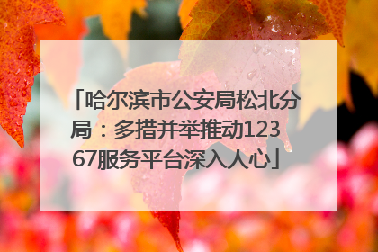 哈尔滨市公安局松北分局：多措并举推动12367服务平台深入人心