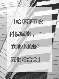 哈尔滨市农科院赋能，“寒地小龙虾”亮相哈洽会