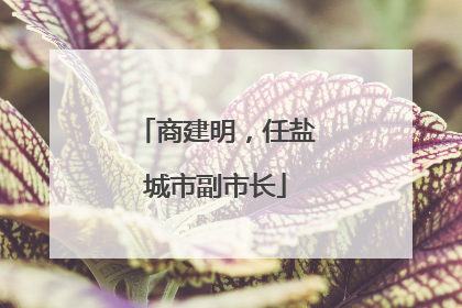 商建明，任盐城市副市长