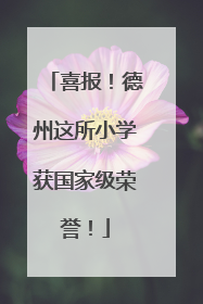 喜报！德州这所小学获国家级荣誉！