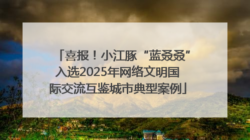 喜报！小江豚“蓝叒叒”入选2025年网络文明国际交流互鉴城市典型案例