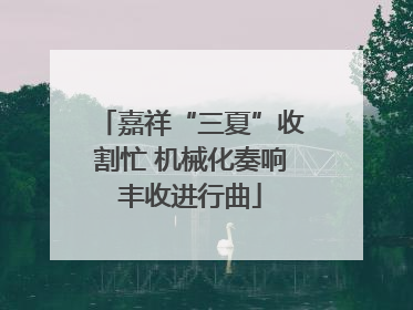 嘉祥“三夏”收割忙 机械化奏响丰收进行曲