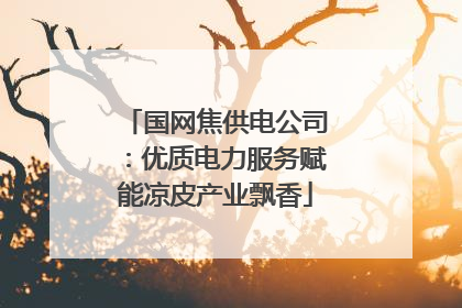 国网焦供电公司：优质电力服务赋能凉皮产业飘香