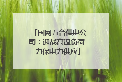 国网五台供电公司：迎战高温负荷 力保电力供应