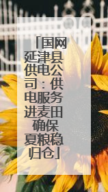 国网延津县供电公司：供电服务进麦田 确保夏粮稳归仓