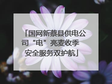 国网新蔡县供电公司“电”亮麦收季 安全服务双护航