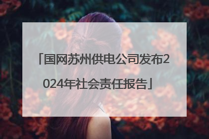 国网苏州供电公司发布2024年社会责任报告