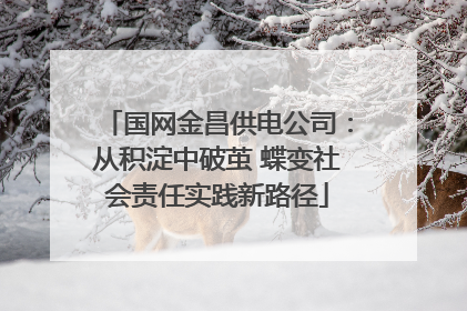 国网金昌供电公司：从积淀中破茧 蝶变社会责任实践新路径