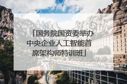 国务院国资委举办中央企业人工智能首席架构师特训班