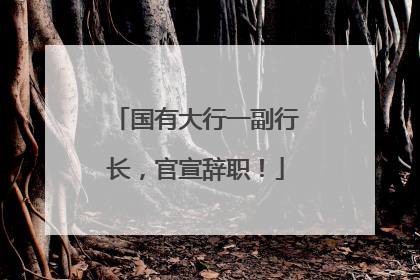 国有大行一副行长，官宣辞职！
