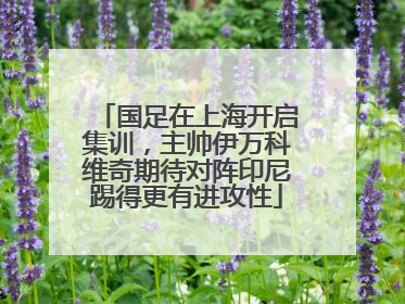 国足在上海开启集训，主帅伊万科维奇期待对阵印尼踢得更有进攻性