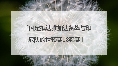 国足抵达雅加达备战与印尼队的世预赛18强赛