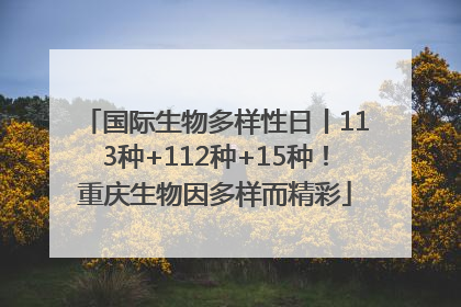国际生物多样性日丨113种+112种+15种！重庆生物因多样而精彩