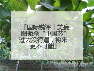 国际锐评丨美妄图扼杀“中国芯”过去没得逞,将来更不可能