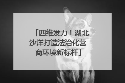 四维发力！湖北沙洋打造法治化营商环境新标杆