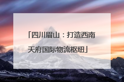 四川眉山：打造西南天府国际物流枢纽