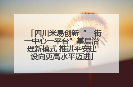 四川米易创新“一街一中心一平台”基层治理新模式 推进平安建设向更高水平迈进