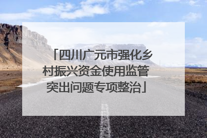 四川广元市强化乡村振兴资金使用监管突出问题专项整治