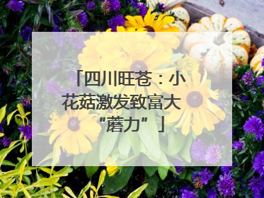 四川旺苍：小花菇激发致富大“蘑力”