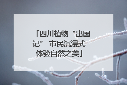 四川植物“出国记” 市民沉浸式体验自然之美