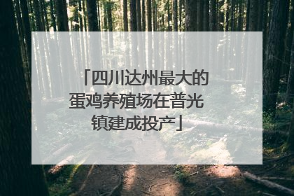 四川达州最大的蛋鸡养殖场在普光镇建成投产