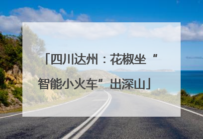 四川达州：花椒坐“智能小火车”出深山