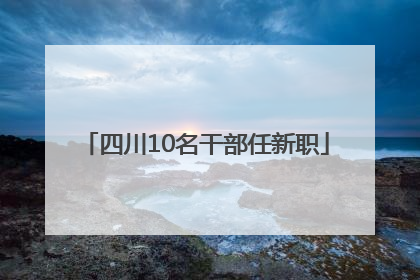 四川10名干部任新职