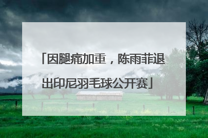 因腿痛加重，陈雨菲退出印尼羽毛球公开赛