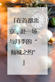 在首都北京，赴一场与月季的“倾城之约”