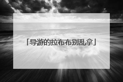 导游的拉布布别乱拿
